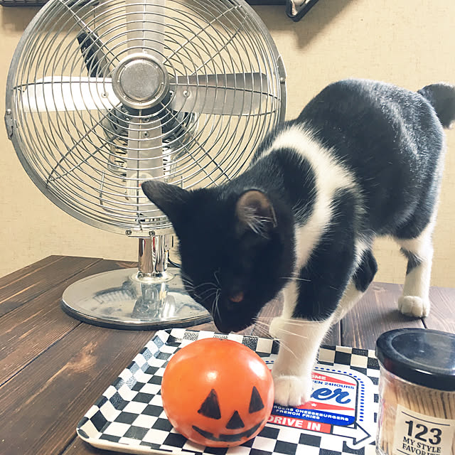 krycekさんの実例写真