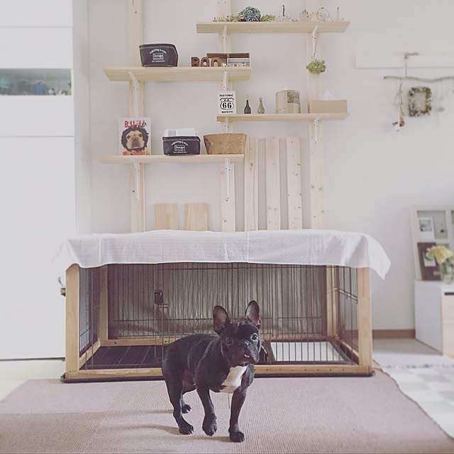 orange009さんの実例写真