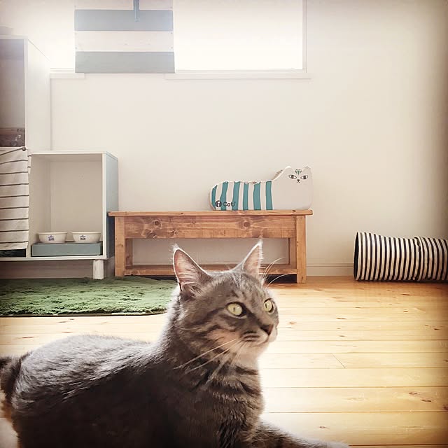 Sasaさんの実例写真