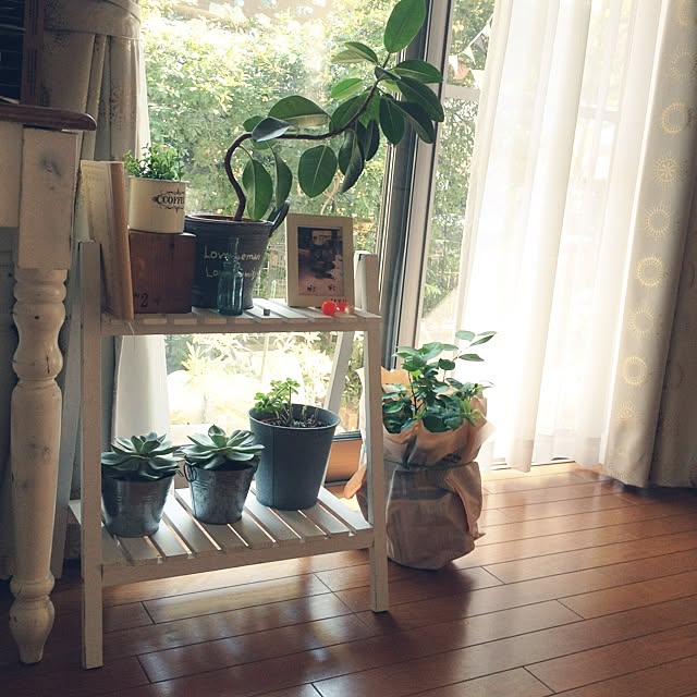 mi-さんの実例写真