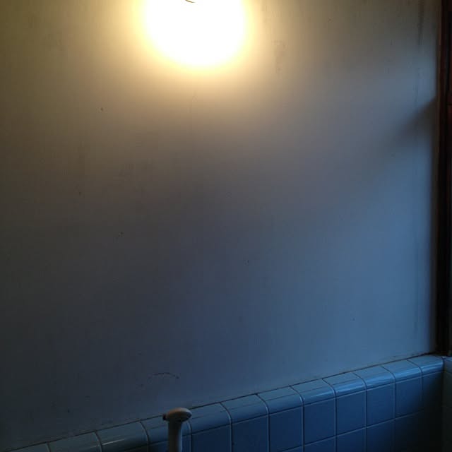 バス/トイレのインテリア実例 - 2012-06-08 05:06:22