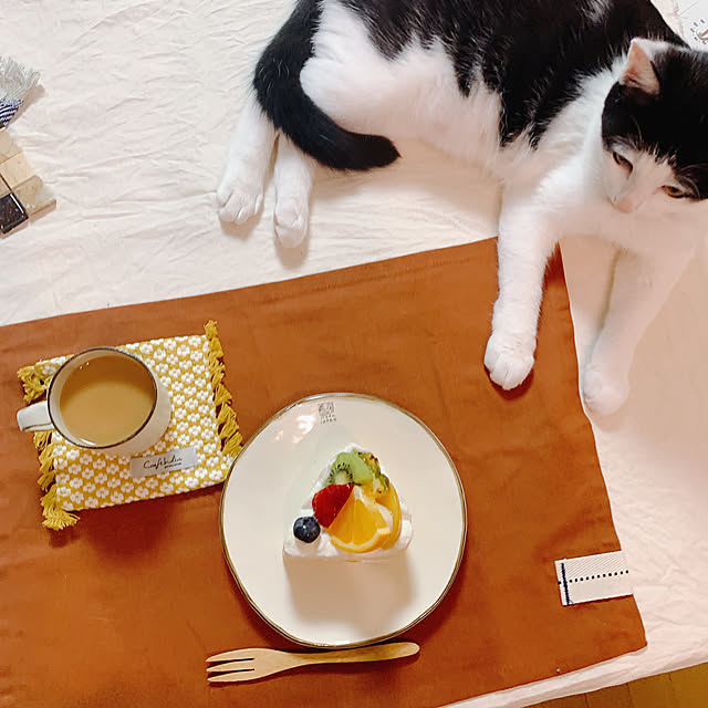 harukaさんの実例写真