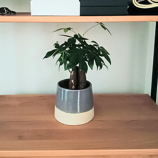 hanachanさんの部屋