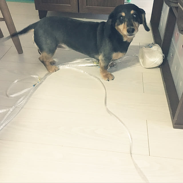 ohanaさんの実例写真
