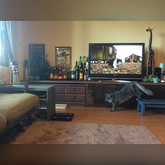 ayuさんの実例写真