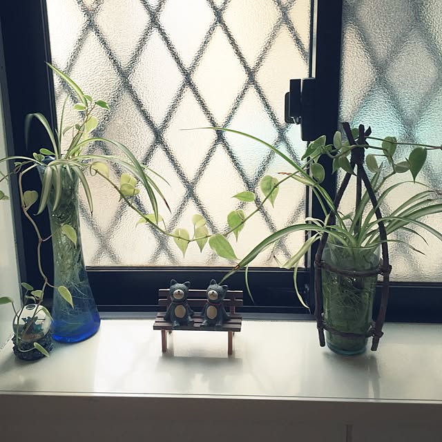 バス/トイレ/観葉植物のインテリア実例 - 2015-09-22 10:44:29