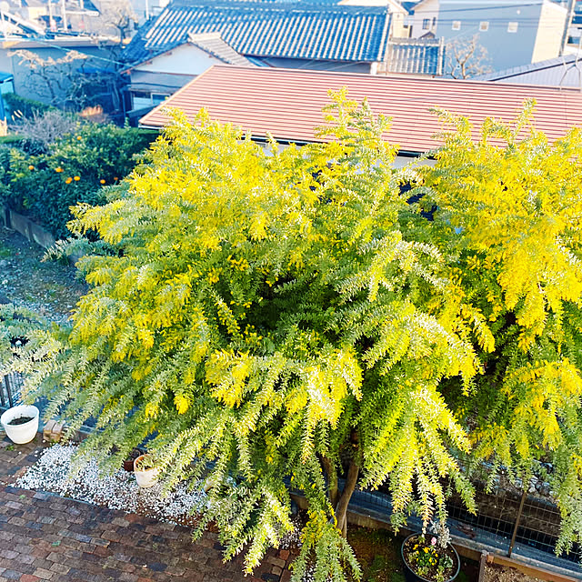 Makiさんの実例写真