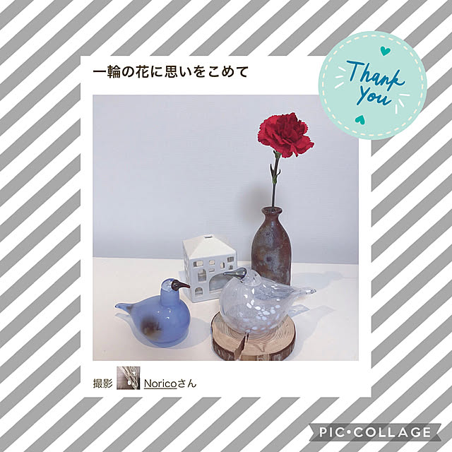Noricoさんの実例写真