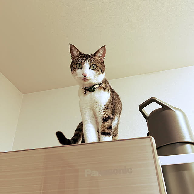 nacchi4さんの実例写真