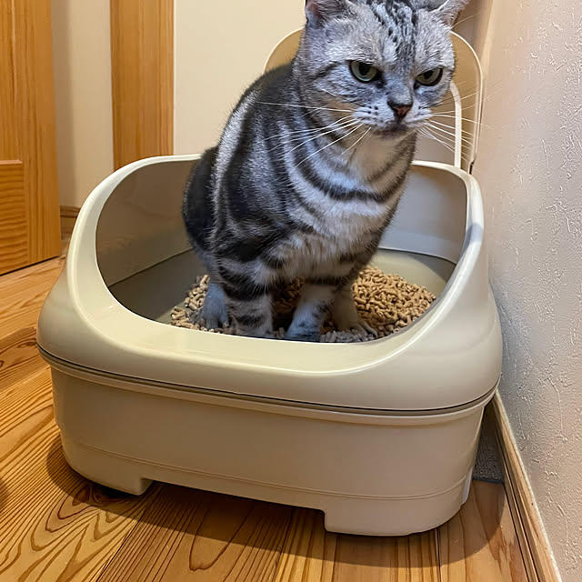 Aさんの実例写真