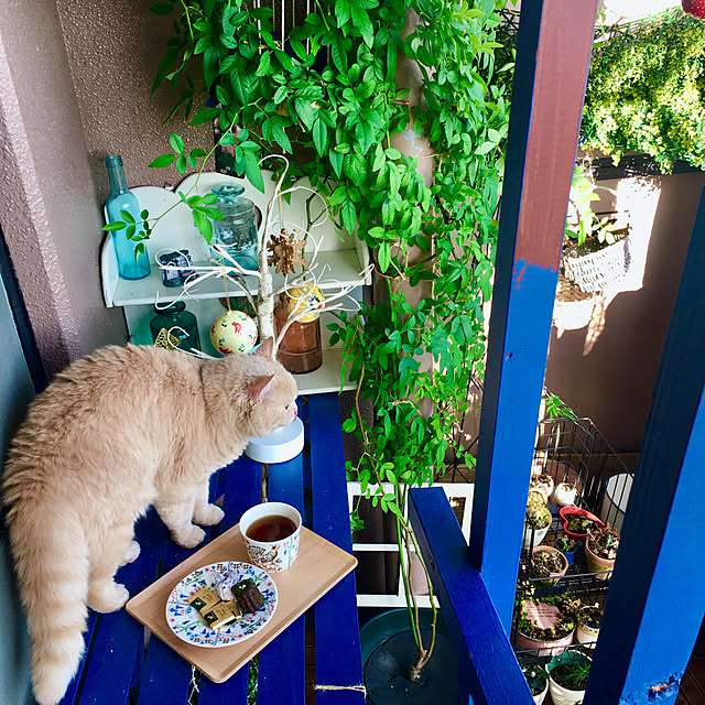 naokoさんの実例写真