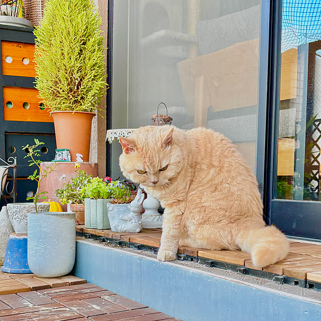 naokoさんの部屋