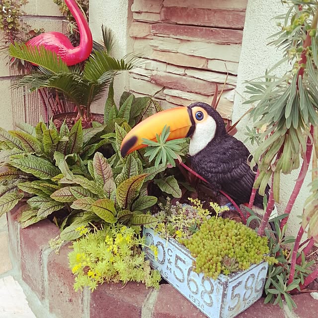 akko1208さんの実例写真