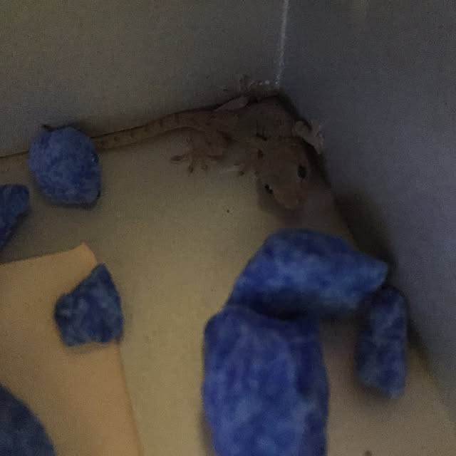 jun3さんの実例写真