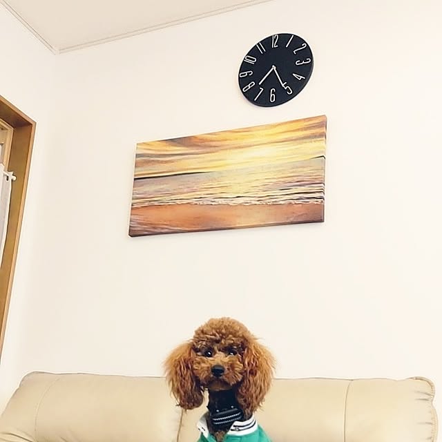 chokocreamさんの実例写真