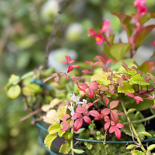 Aqettyさんの部屋