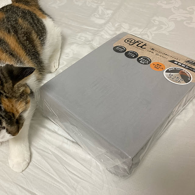 tomotomoさんの実例写真