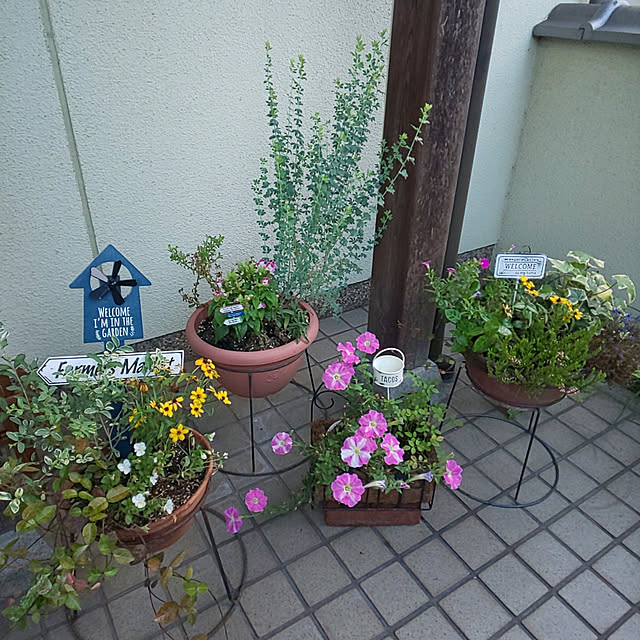 seiko44さんの実例写真