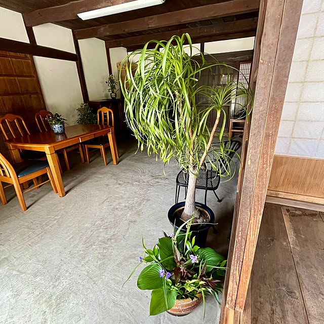 cota2さんの部屋