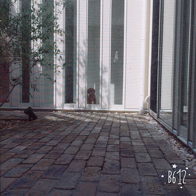 lunamama1207さんの実例写真