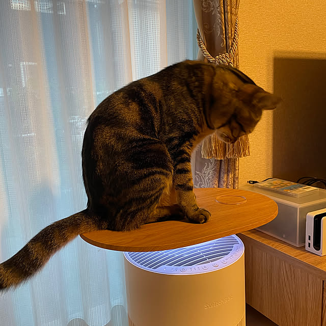 ruruさんの部屋