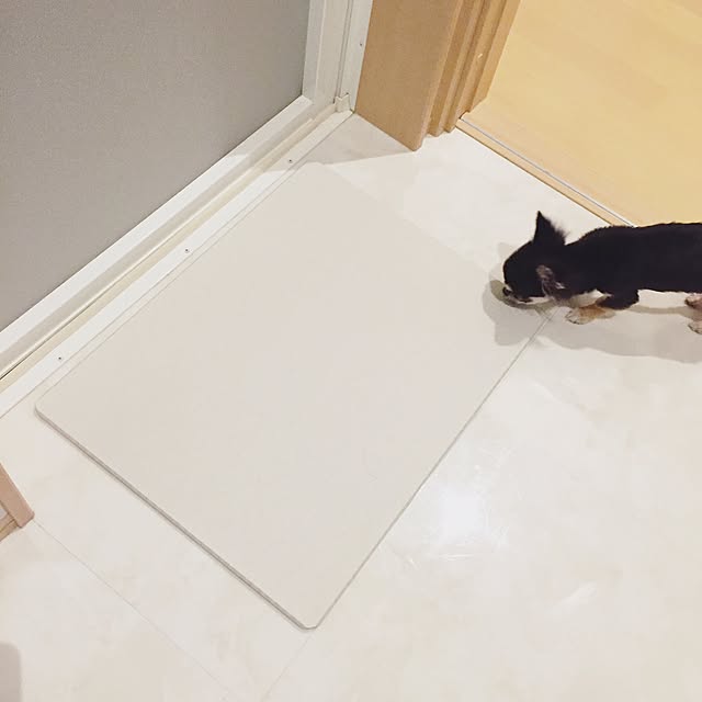 fumiさんの実例写真