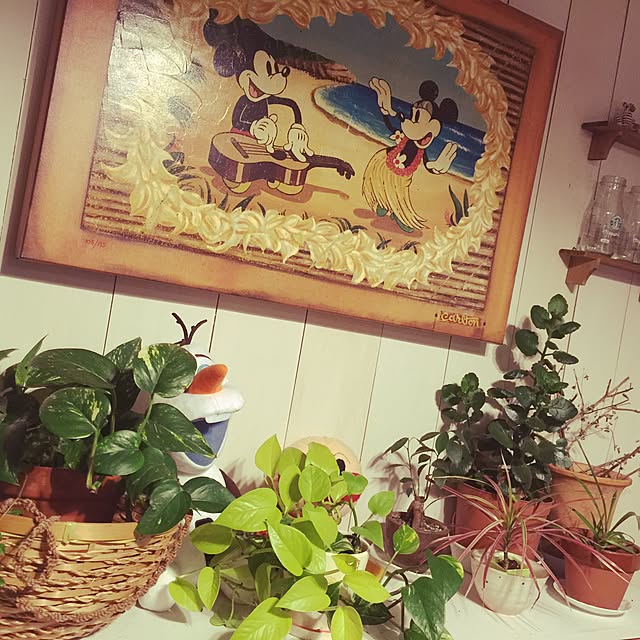 yuttanさんの実例写真