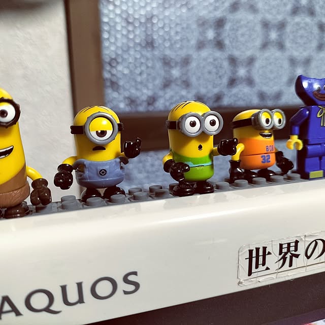 1kanokyonさんの実例写真