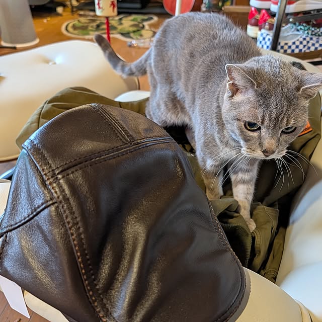 fuchan0930さんの部屋