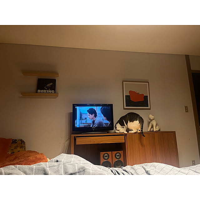 ベッド周り/テレビボートのインテリア実例 - 2024-12-16 23:07:50