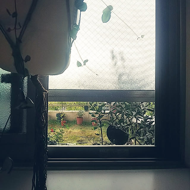 hiromimiさんの実例写真