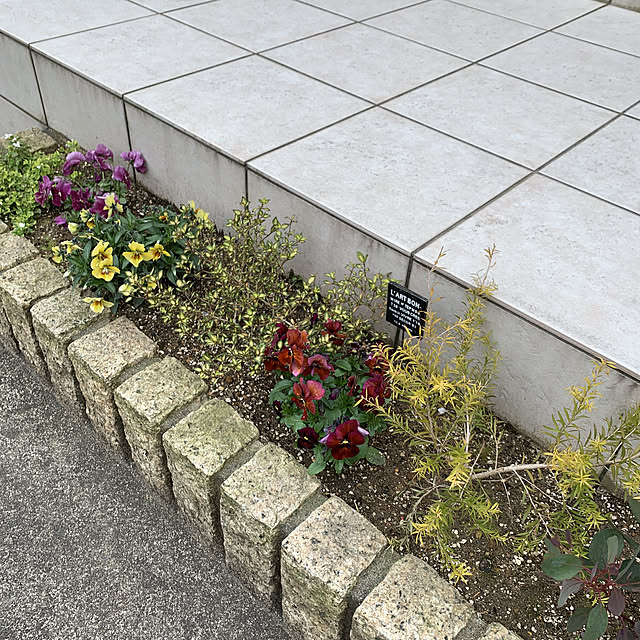 実例写真