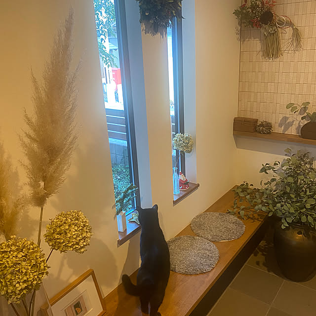 taakoさんの部屋