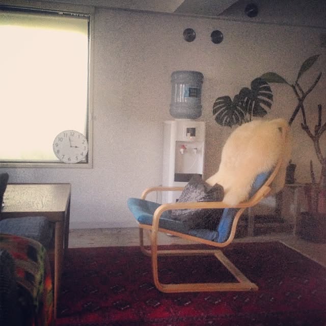 Bobさんの実例写真