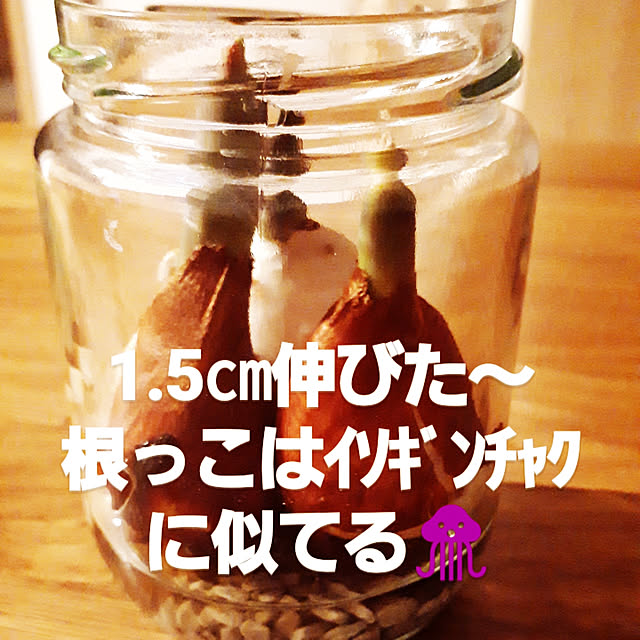 pumpkin11さんの実例写真