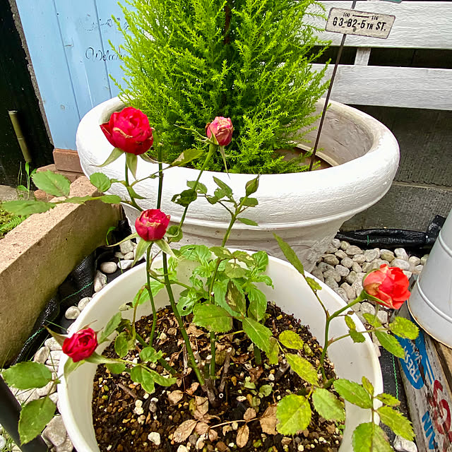 YuuKoさんの部屋