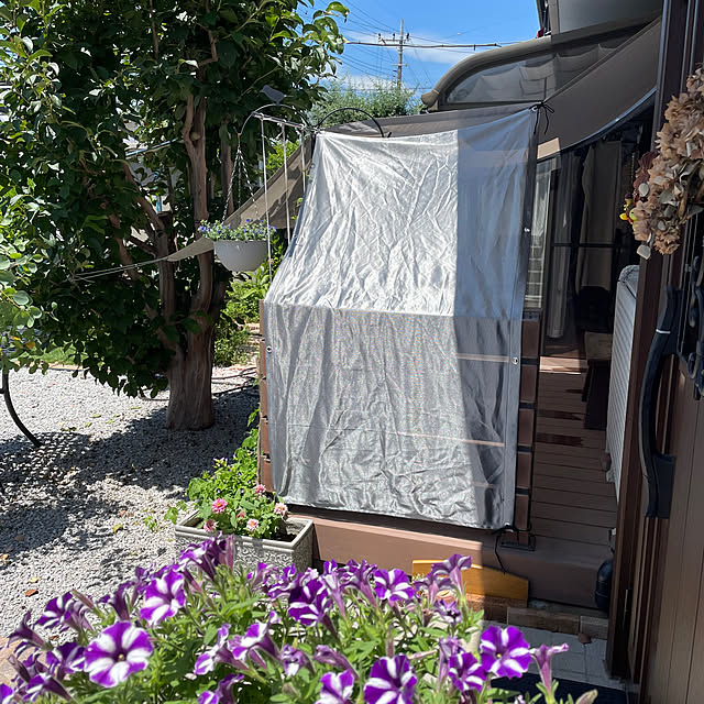 ronronさんの部屋