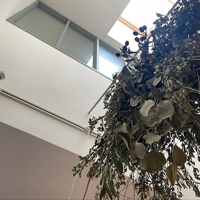 Instagram始めました/グレー好き/北欧インテリアに憧れる/観葉植物のある暮らし/ドライフラワーのある暮らし...などのインテリア実例 - 2022-02-09 12:13:53