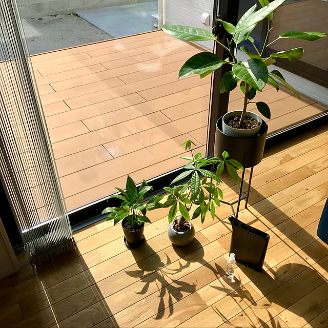 HAMUSUKEさんの実例写真