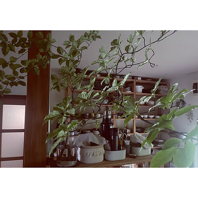 marucoさんの部屋
