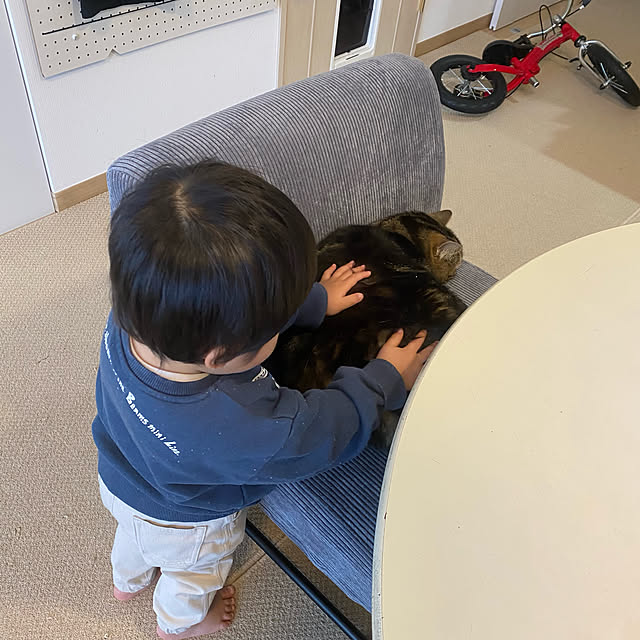 mikomaruさんの実例写真