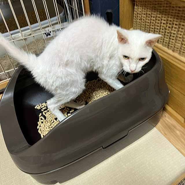 hanaさんの実例写真