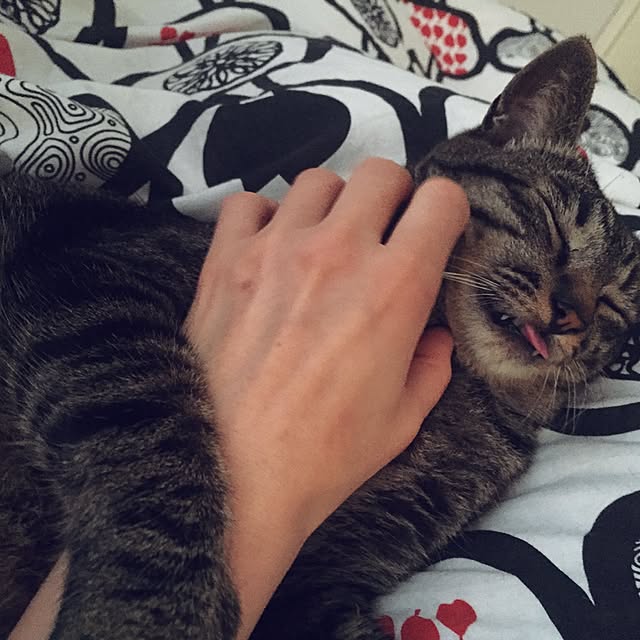nyan.73さんの実例写真