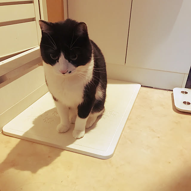 okekeさんの実例写真