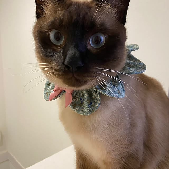 arashi530さんの部屋