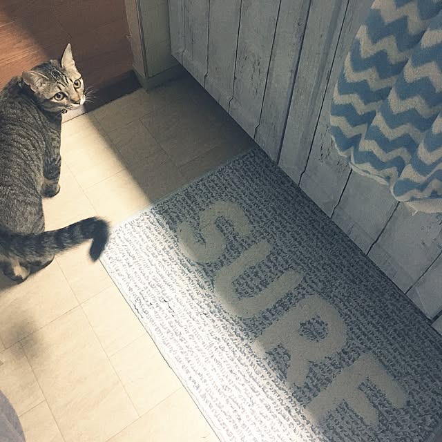 sayasさんの実例写真