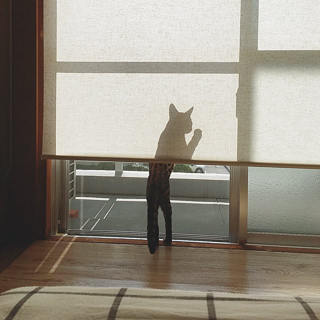 anさんの実例写真