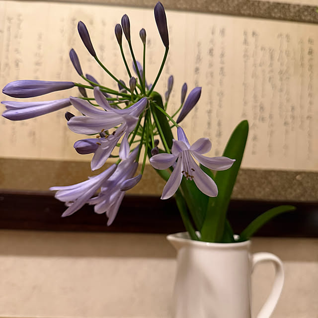 mamizaさんの部屋