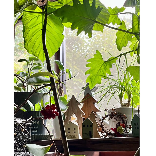 cotaさんの実例写真