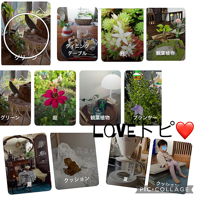 CoCo0617さんの実例写真